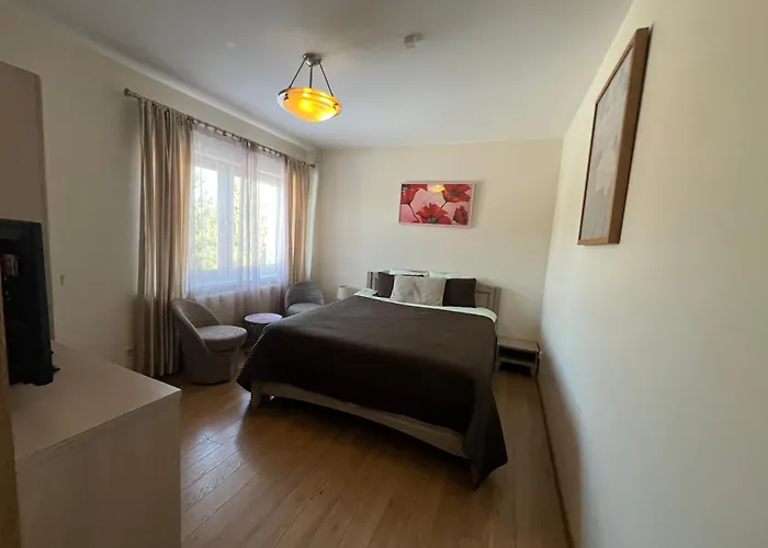 皮拉特斯纳麦公寓 * 维尔纽斯