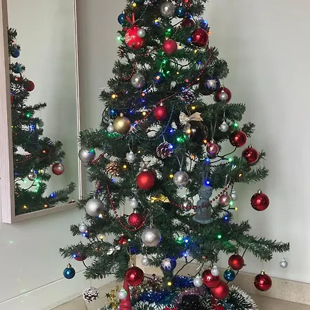 Butas Pilaites Svetingi Namai *